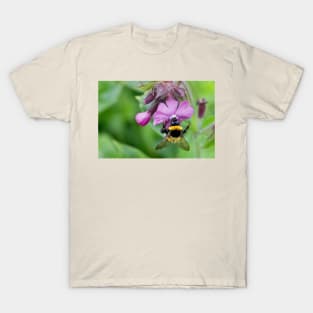 English Wild Flowers - Red Campion with bee T-Shirt